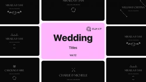 Videohive - Wedding Titles for Premiere Pro Vol. 12 - 49053457