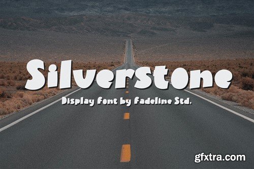 Silverstone | Display Font D977N2L