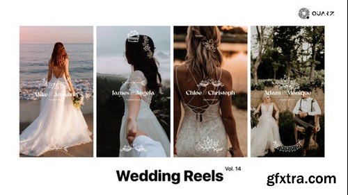 Videohive Wedding Reels Vol. 14 49308056