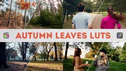 Videohive - Autumn Leaves LUTs | FCPX - 49276762