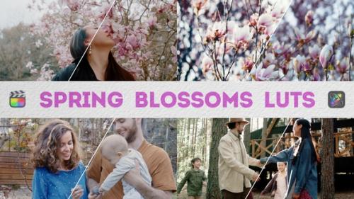 Videohive - Spring Blossoms LUTs | FCPX - 49292361