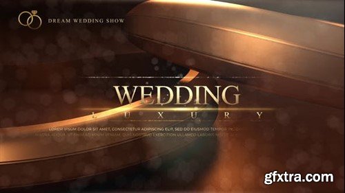 Videohive Wedding 49291923