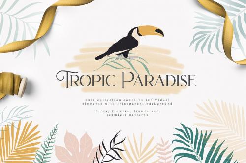 Tropic Paradise Vector Birds Florals Collection