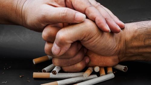 Udemy - CBT Plan to Quit Smoking Addiction