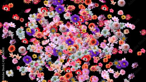 Adobe Stock - Flower Explosion Overlay - 280463851