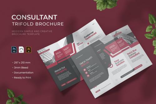 Consultant - Trifold Brochure