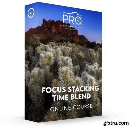 John Weatherby - Focus Stacking Time Blend
