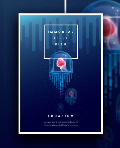 Adobe Stock - Aquarium Poster Layout with Jellyfish - 300407682
