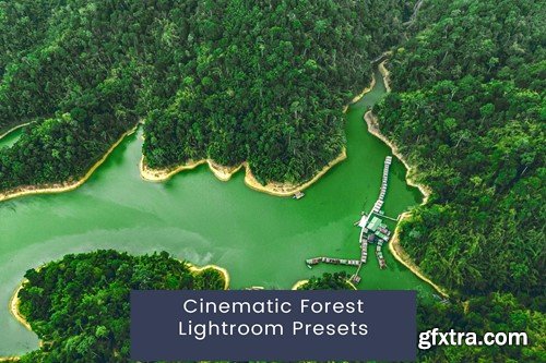 Cinematic Forest Lightroom Presets Y4BBJ57