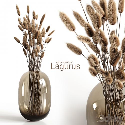 A bouquet of lagurus