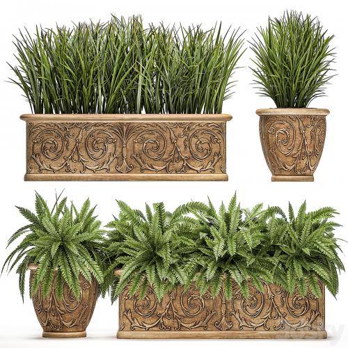 A collection of plants in classic outdoor pots vases with monograms with ferns, bushes, grass, flowerbed. Set 496.