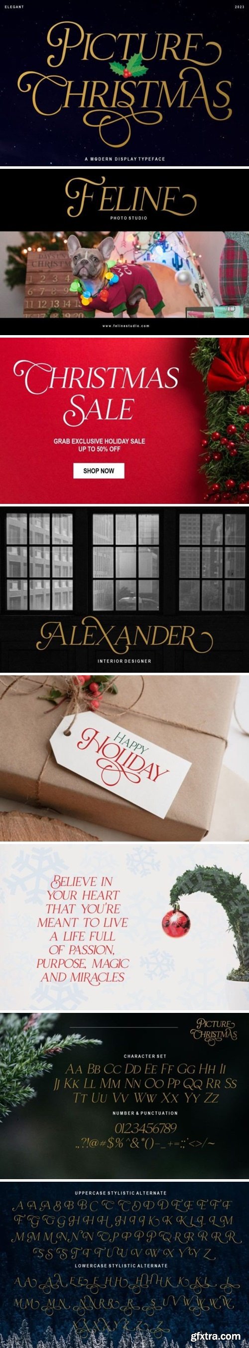Christmas Picture Font
