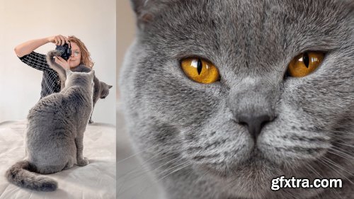 Purrfect Pet Portraits: Composing, Lighting & Capturing Moving Subjects