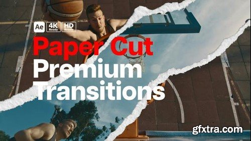 Videohive Premium Transitions Paper Cut 49717425