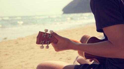 Udemy - Stress & Anxiety Management For Parents With The Ukulele