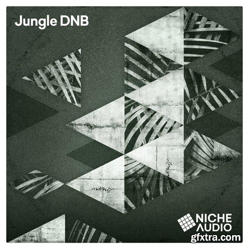 Niche Audio Jungle DNB