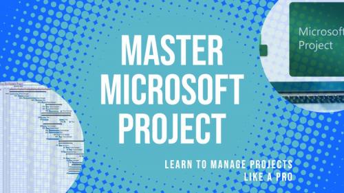 Udemy - Developing Professional Project Plans through MS Project