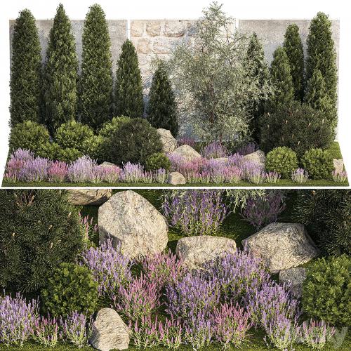 Beautiful garden with arborvitae and landscaping with pine, cypress, topiary, boulder stones, flowers and lavender, sage bushes. 1265