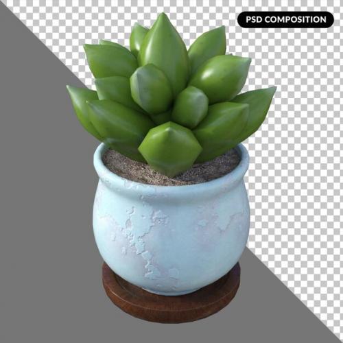 3d Succulent Plant Isolated