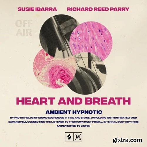 Montage by Splice Heart and Breath: Ambient Hypnotic