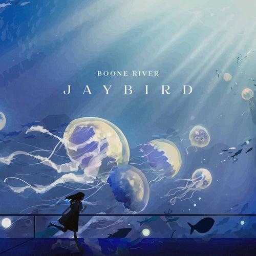 Epidemic Sound - Jaybird - Wav - sfbEr2IKgY