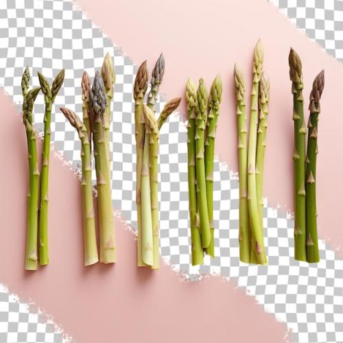 Various Asparagus Bundles Separated On A Transparent Background