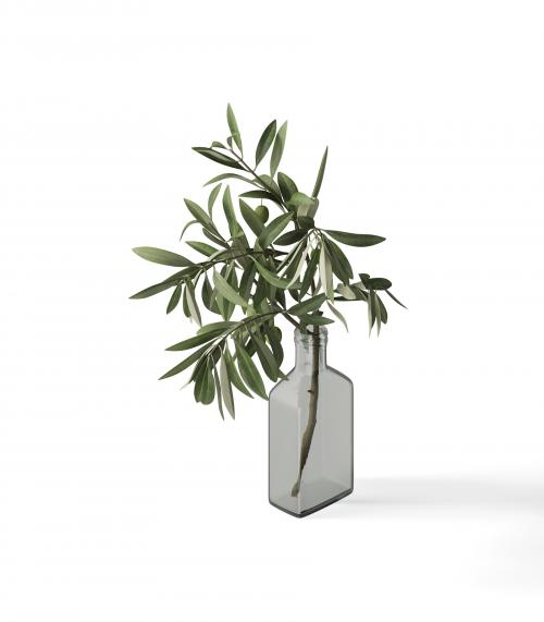 Creatoom - Olive Branch In Vase V1 Isometric