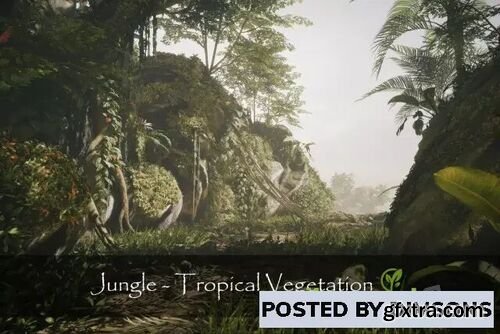 Jungle - Tropical Vegetation v3.3.1