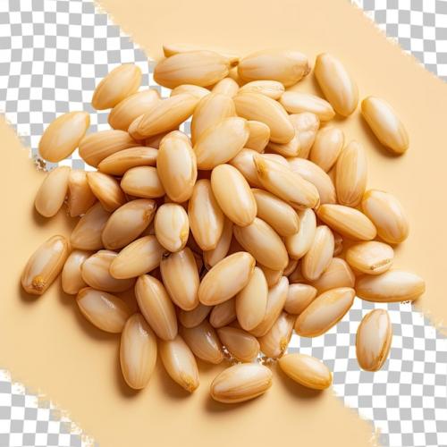 Closeup Shot Of Isolated Pine Nuts On Transparent Background