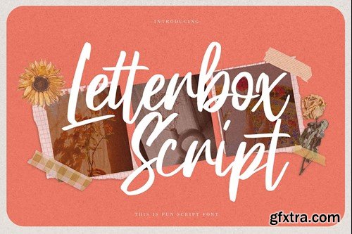 Letterbox Script - This is Fun Script Font A84AAKY