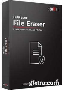 BitRaser File Eraser Standard 5.0.0.8
