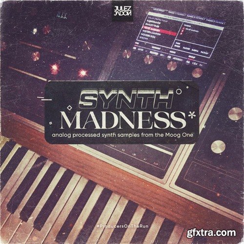 Julez Jadon Synth Madness Analog Processed Samples From The Moog One