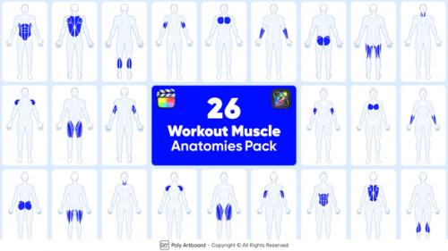 Videohive - Workout Muscle Anatomies Pack For Final Cut Pro X - 49834424
