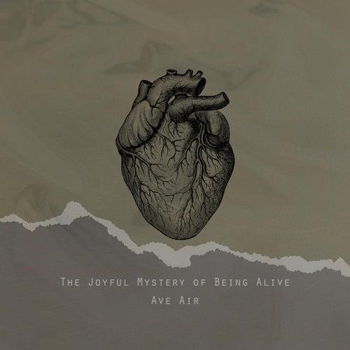 Epidemic Sound - The Joyful Mystery of Being Alive - Wav - ucmrnhQgF9