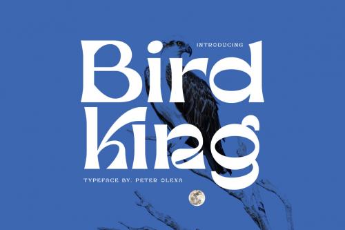 Deeezy - Bird King Retro Serif