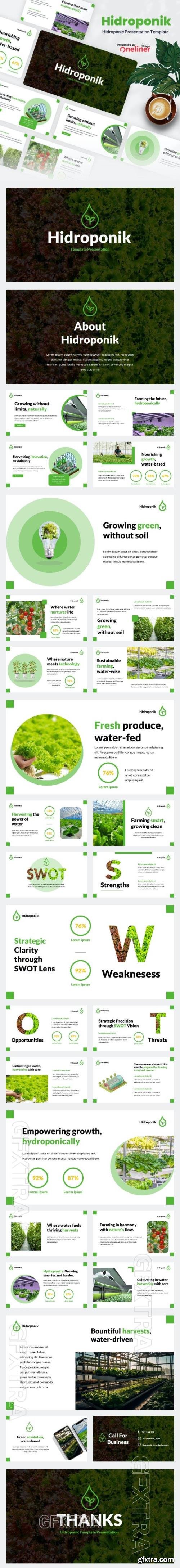 Hidroponic - Hydroponics Agriculture Powerpoint Template 49623904
