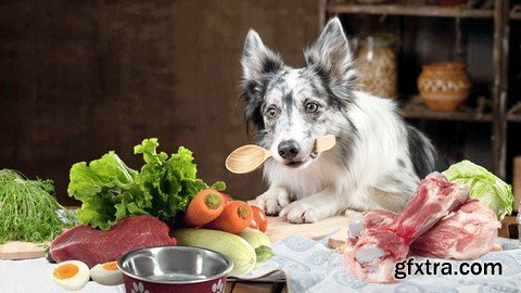 Udemy - Pet Nutrition For Cats And Dogs