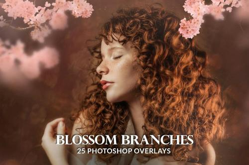 25 Painted blossom branches photo overlays