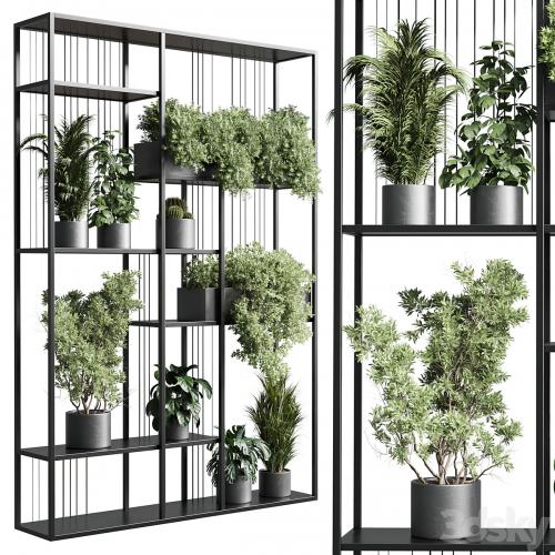 Standing metal shelf with a set of plants in concrete and metal boxes 325
