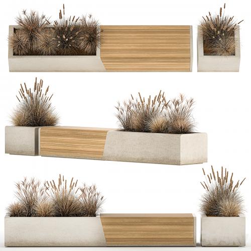 Bench flowerbed for the urban environment in a concrete flowerpot with bushes of reeds and dried flowers, dry grass. 1142.