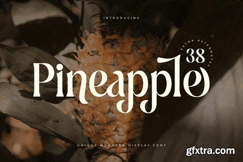 Pineapple - Unique Retro Vintage Display Font RJNVSUK