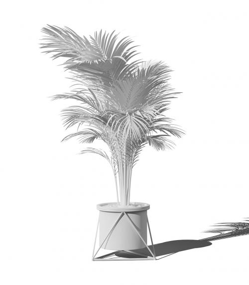 Creatoom - Clay Areca Palm In Pot V2 Front View