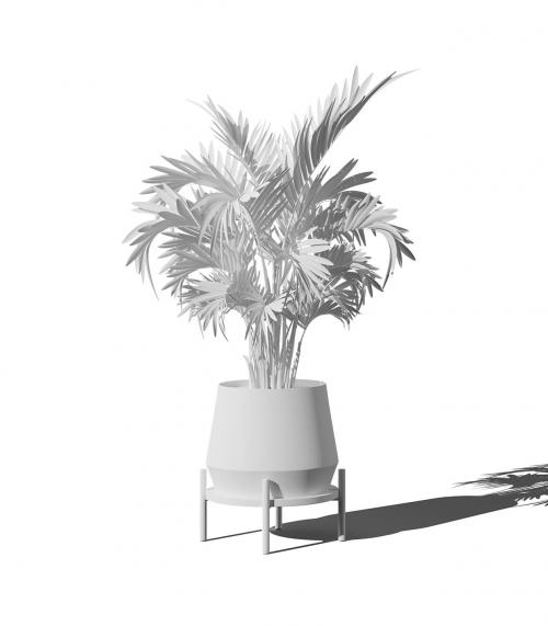 Creatoom - Clay Areca Palm In Pot V4 Front View