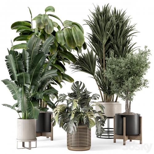 Indoor Plants in Ferm Living Bau Pot Large - Set 1328