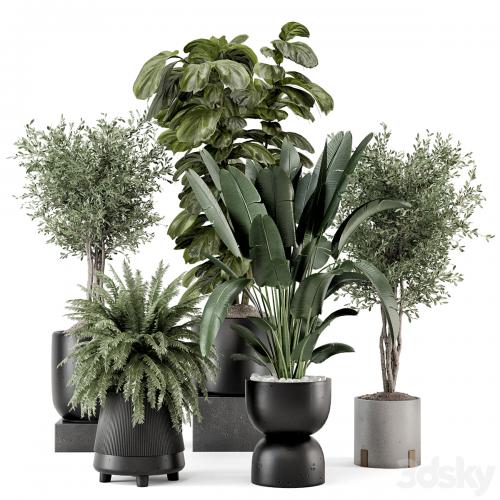 Indoor Plants in Ferm Living Bau Pot Large - Set 1277