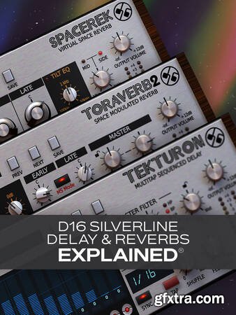 Groove3 D16 Silverline Delays and Reverbs Explained