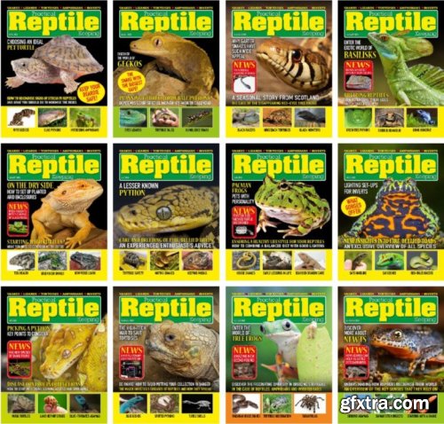 Practical Reptile Keeping - Full Year 2023 Collection