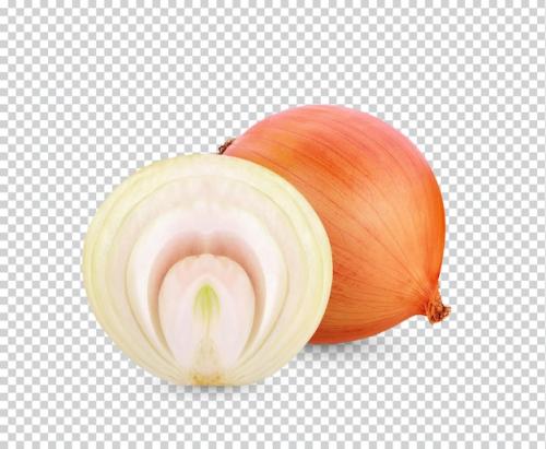Onion Isolated Permiun Psd