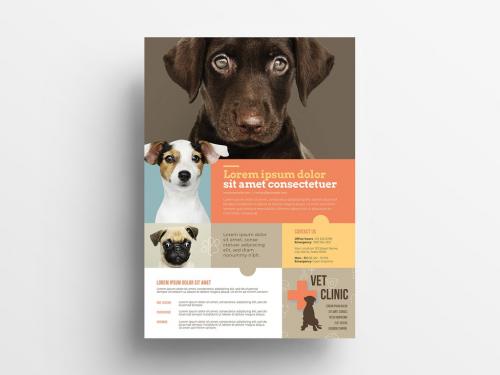 Adobe Stock - Veterinary Flyer with Orange Accents - 338961687