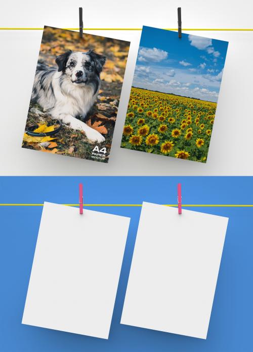 Adobe Stock - 2 Paper Sheets Mockup Hanging on Rope - 342472611